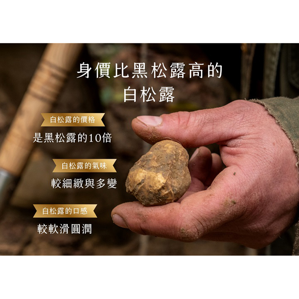 放大